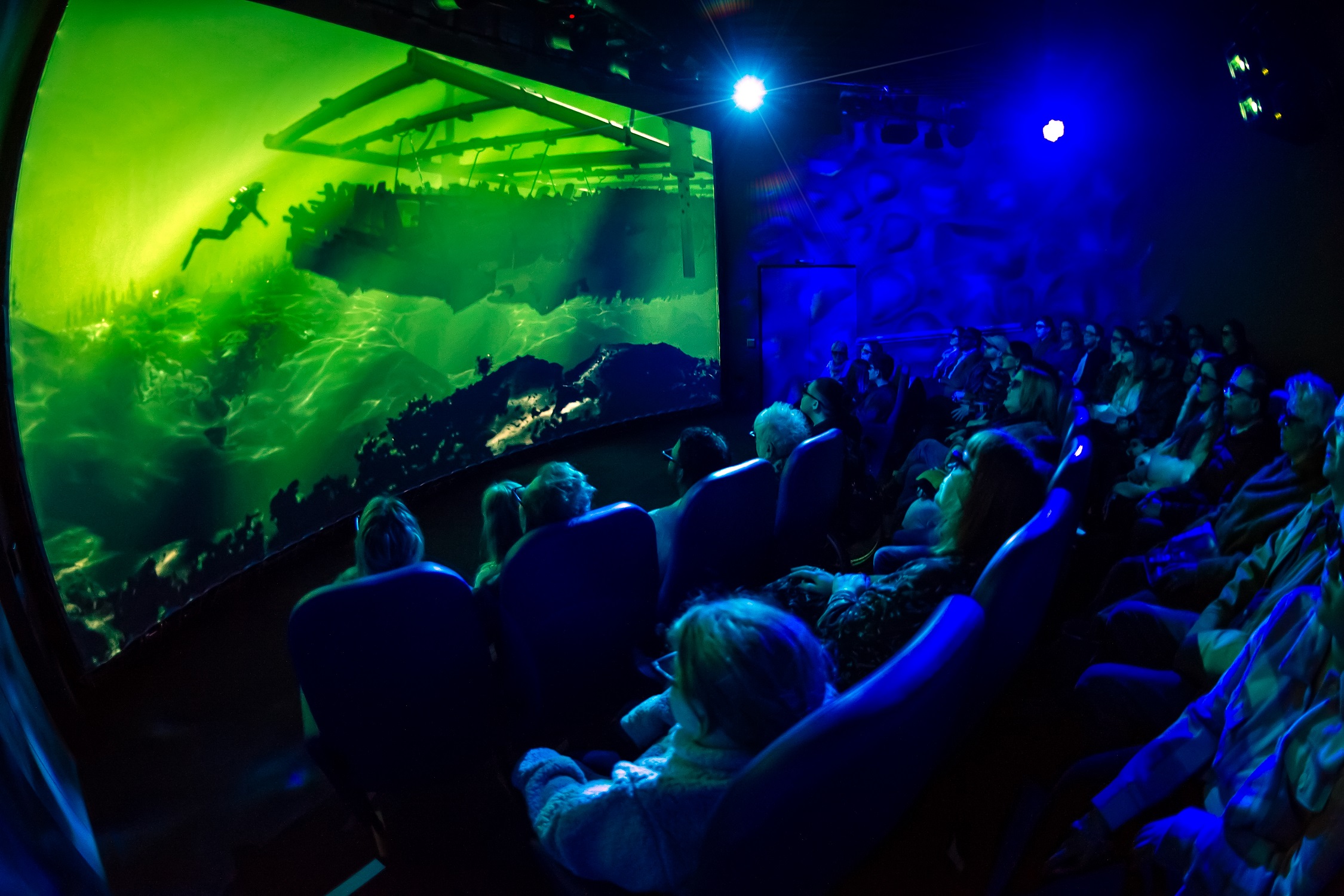 Dive the Mary Rose 4D - Harvey Mills